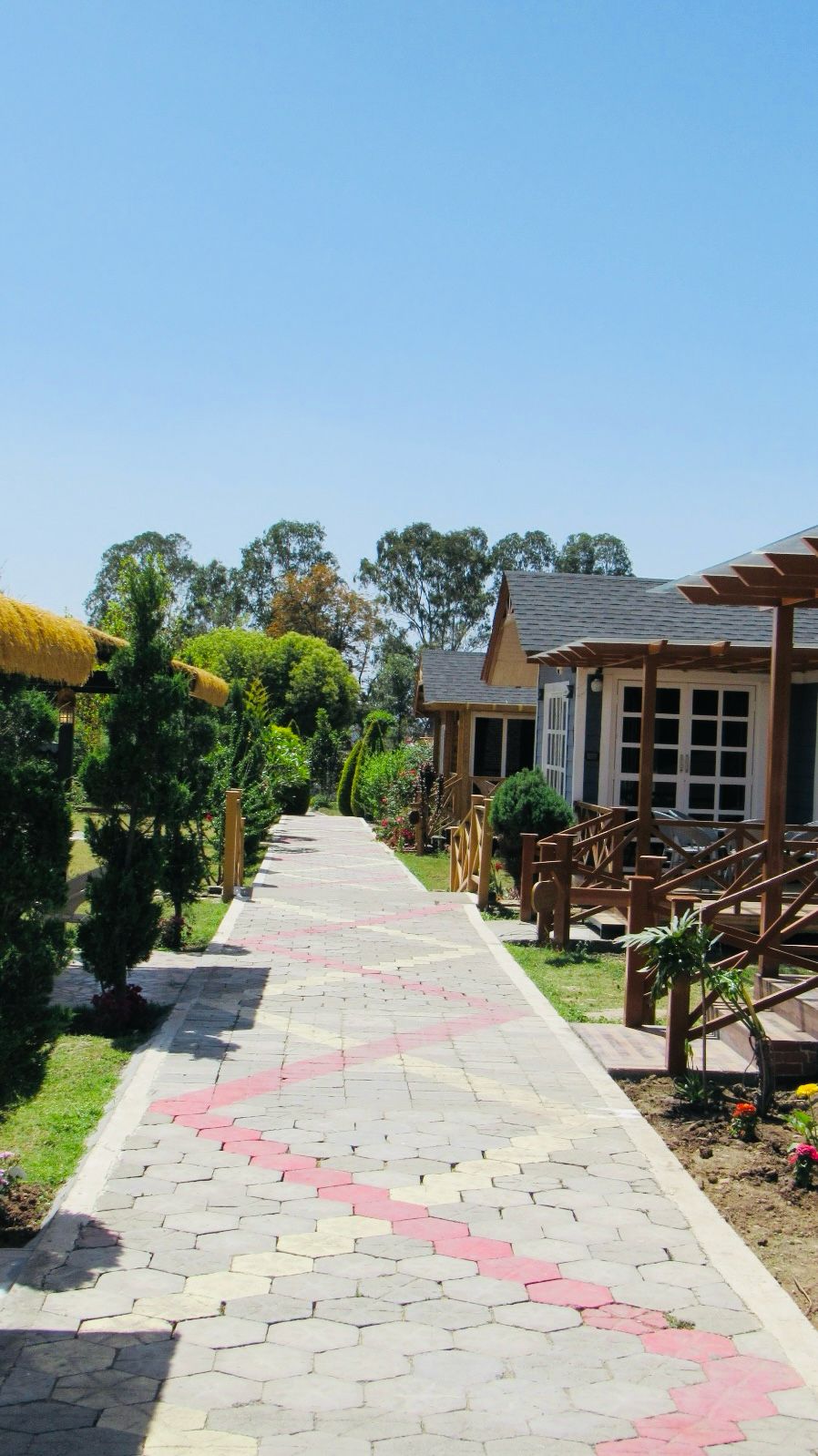 The Lotus Premium Cottage