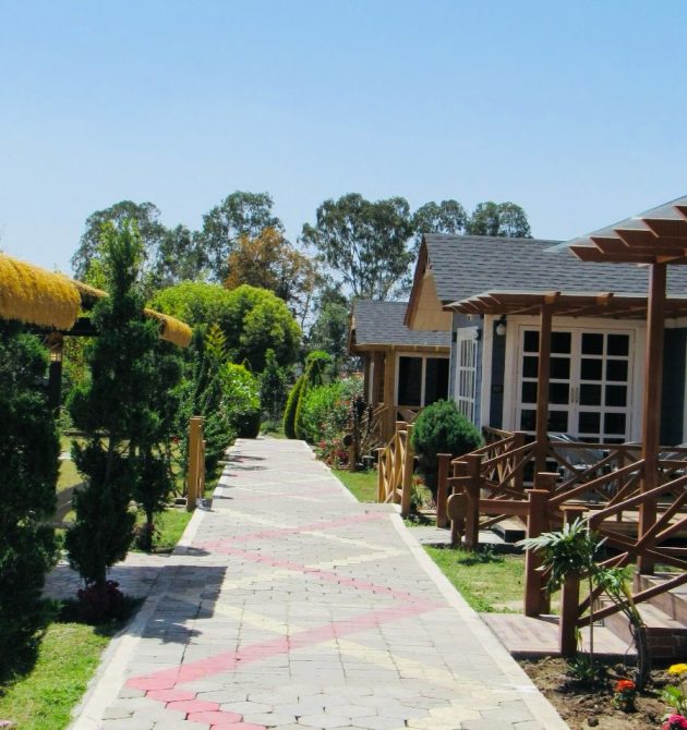The lotus premium cottage (5)